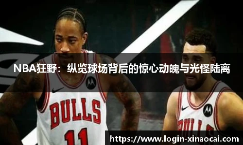 NBA狂野：纵览球场背后的惊心动魄与光怪陆离